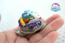 Load image into Gallery viewer, Teacher turtle bundle
