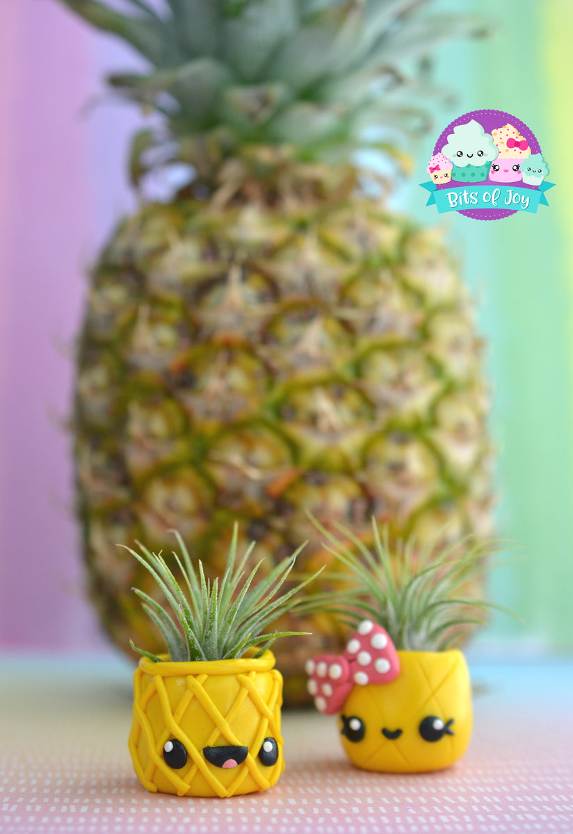 goodsmith shope pineapple planter Pineapple Cuties Air Plant Holder – Bits of Joy
