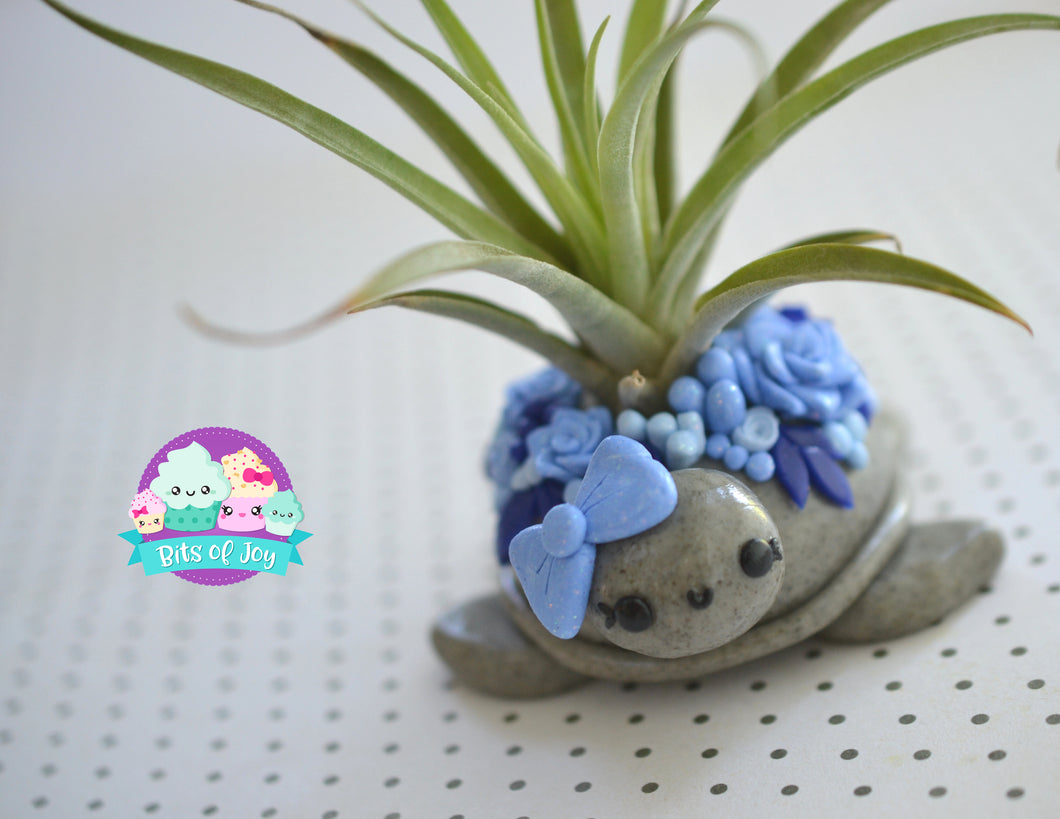 clay turtle succulent Succulent Turtle Air Plant Holder – Bits of Joy