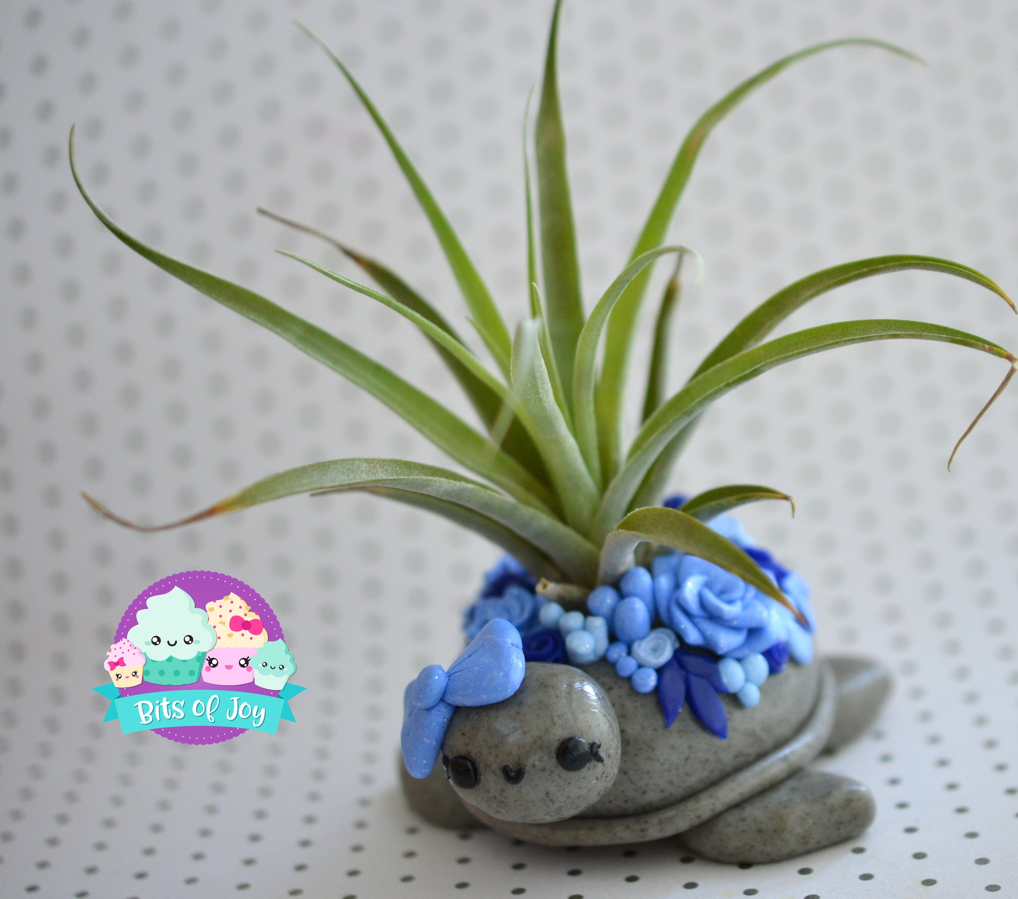 clay air plant holder Succulent Turtle Air Plant Holder – Bits of Joy