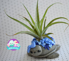 Load image into Gallery viewer, Succulent Turtle Air Plant Holder