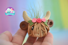 Load image into Gallery viewer, Highland Cow Cutie Air Plant Holder