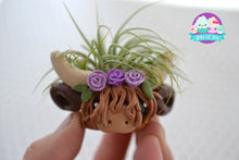 Load image into Gallery viewer, Highland Cow Cutie Air Plant Holder