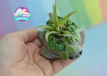 Load image into Gallery viewer, Succulent Turtle Air Plant Holder