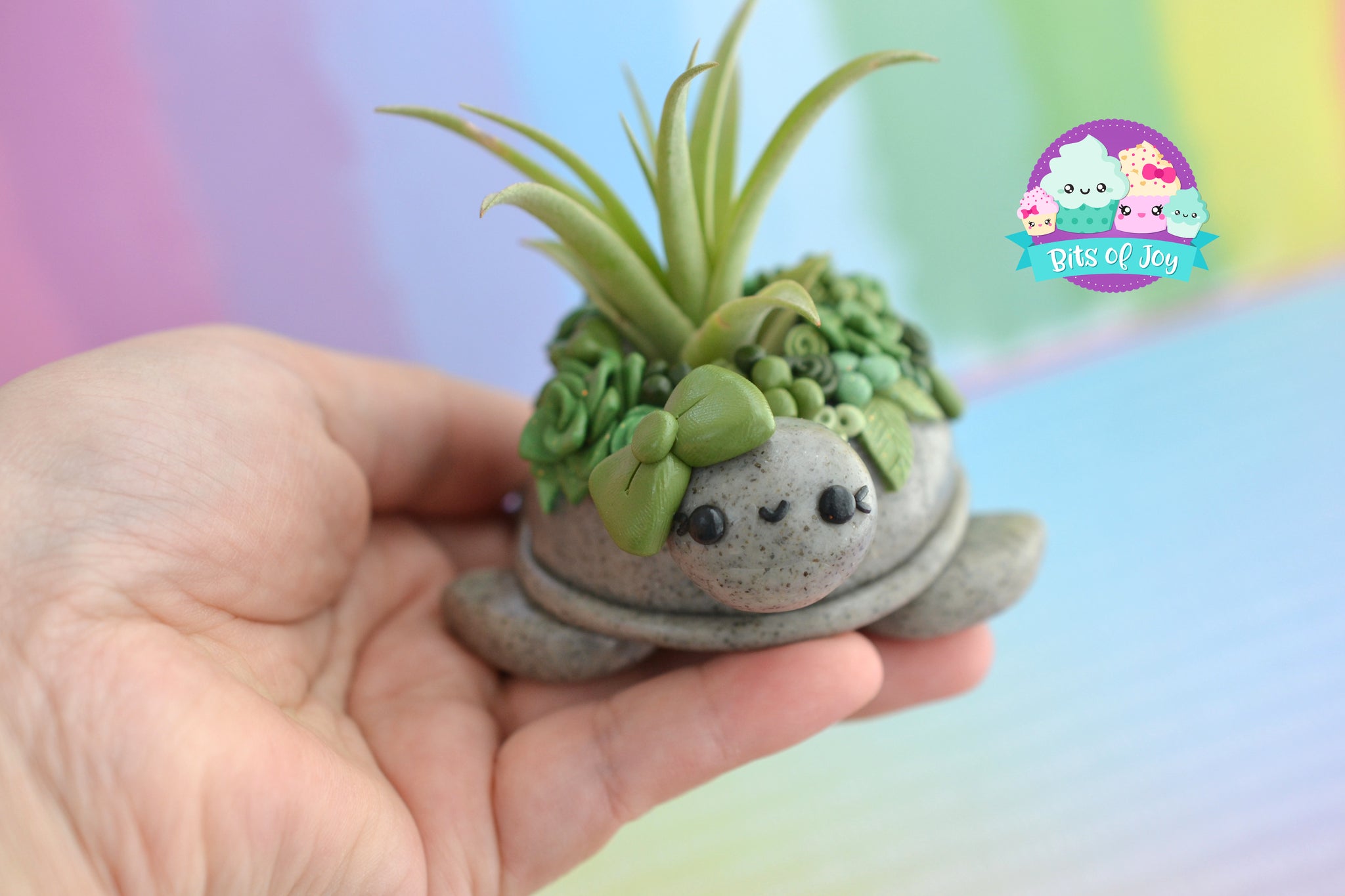 polymer clay air plant holder Succulent Turtle Air Plant Holder – Bits of Joy