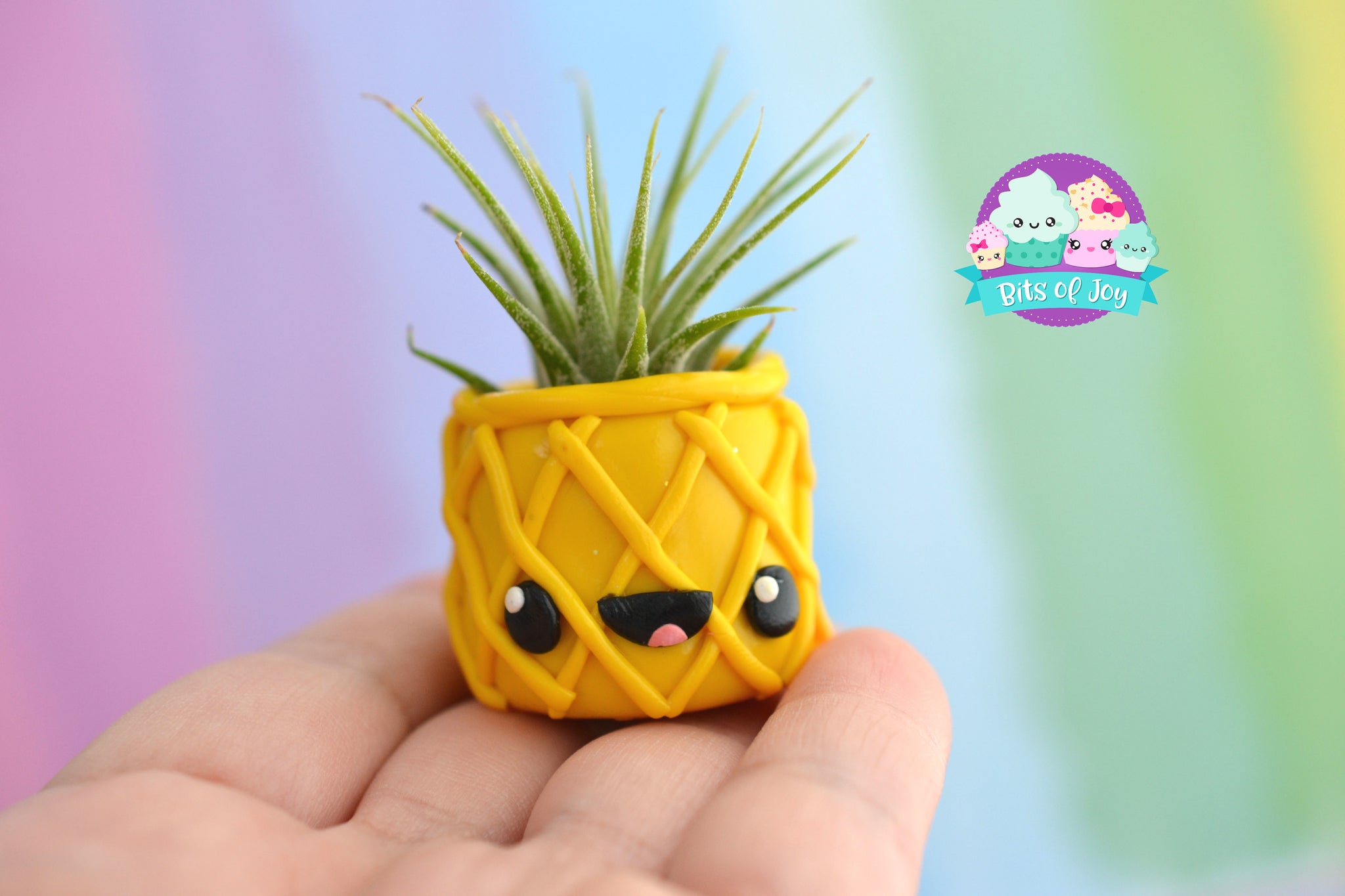 polymer clay air plant holder Pineapple Cuties Air Plant Holder – Bits of Joy