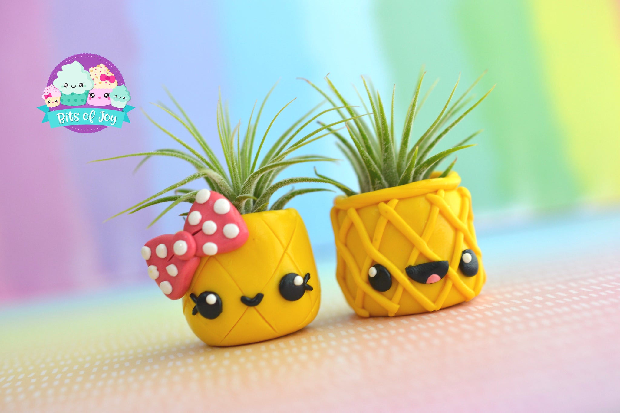 pineapple air plant magnets Pineapple Cuties Air Plant Holder – Bits of Joy