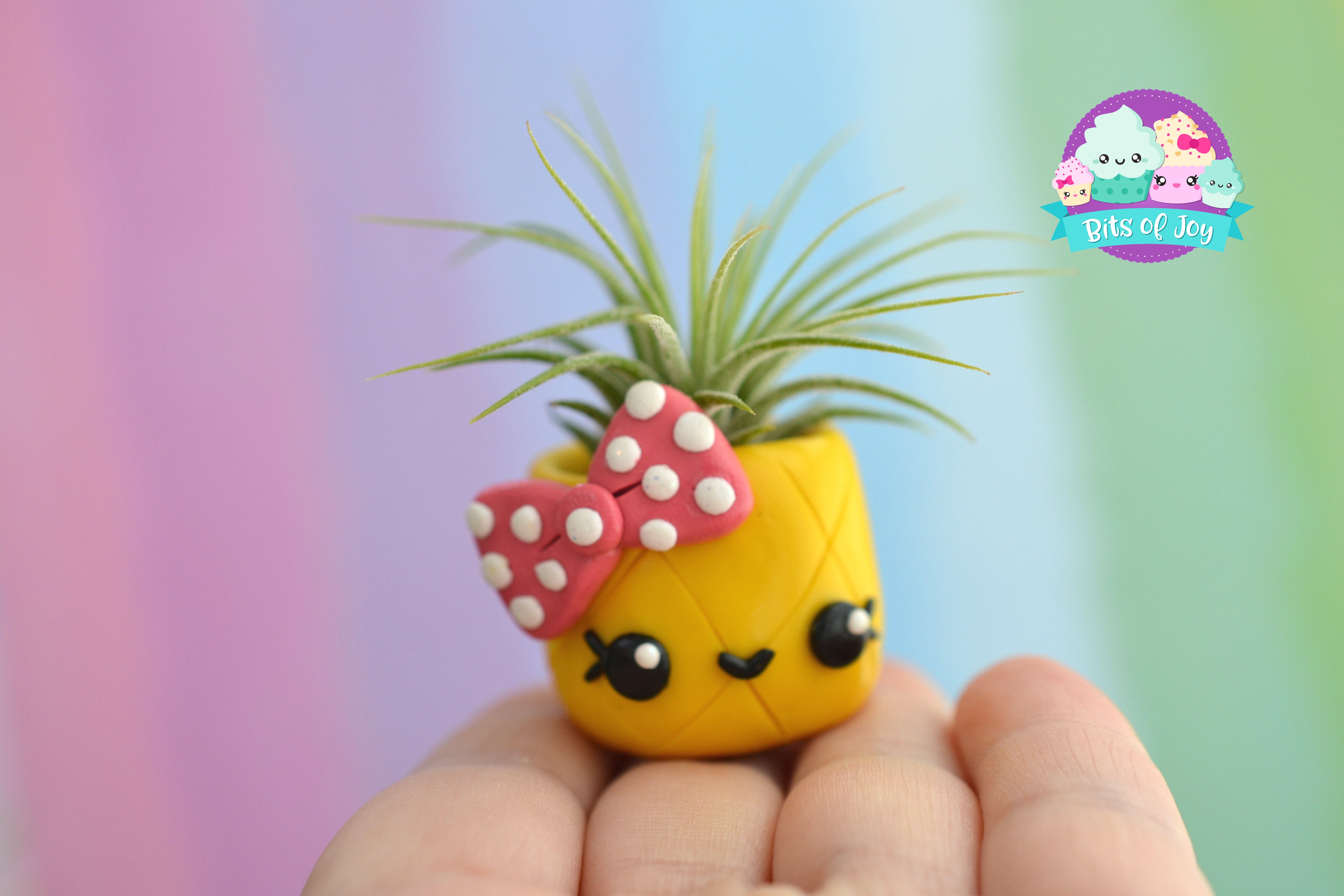 pineapple air plant magnet Pineapple Cuties Air Plant Holder – Bits of Joy