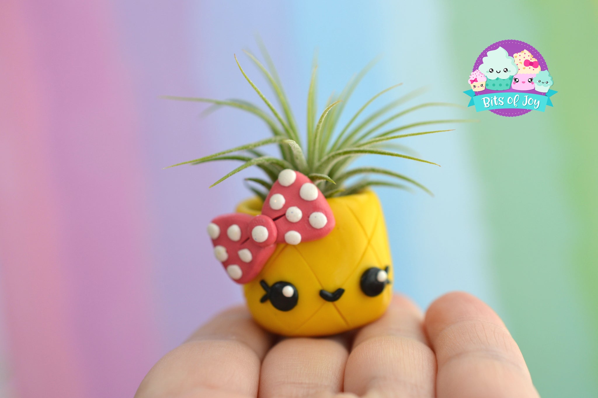 pineapple pot plant holder Pineapple Cuties Air Plant Holder – Bits of Joy