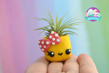 Load image into Gallery viewer, Pineapple Cuties Air Plant Holder