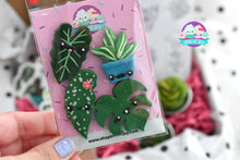 Load image into Gallery viewer, Crazy Plant Lady Mystery Box