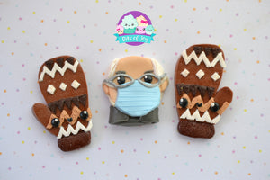 Bernie Magnet Sets