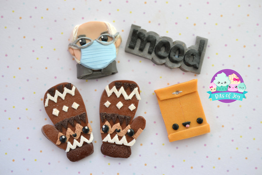 Bernie Magnet Sets