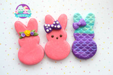 Load image into Gallery viewer, Mystery Style Peep and Bunny Magnets