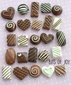 Realistic Chocolate Magnet Sets