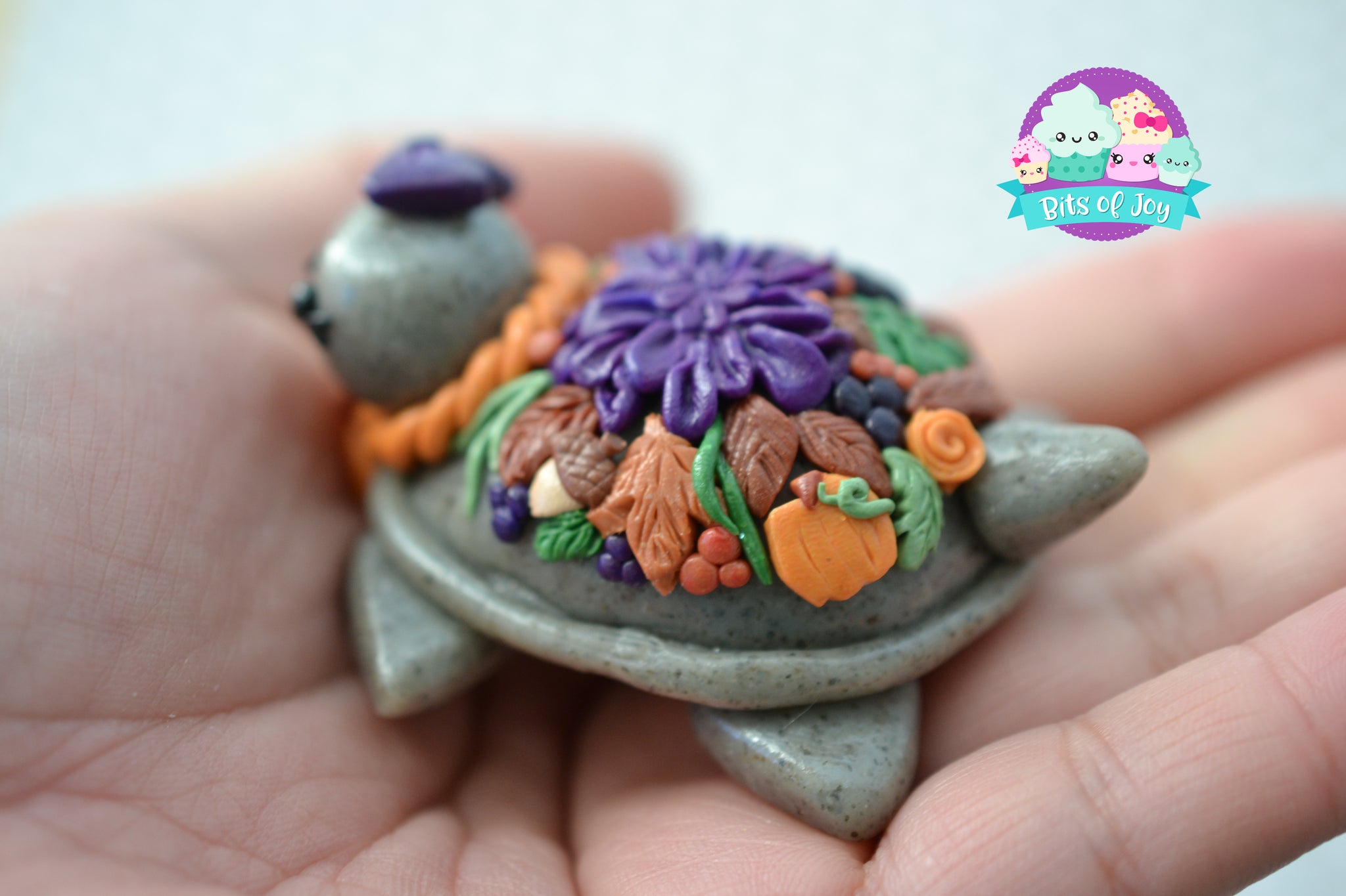 succulent turtle diy Fall Succulent Turtle Figurine – Bits of Joy