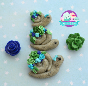 Succulent Snail Magnet Set